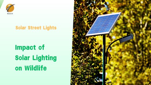 solar-lighting-on-wildlife