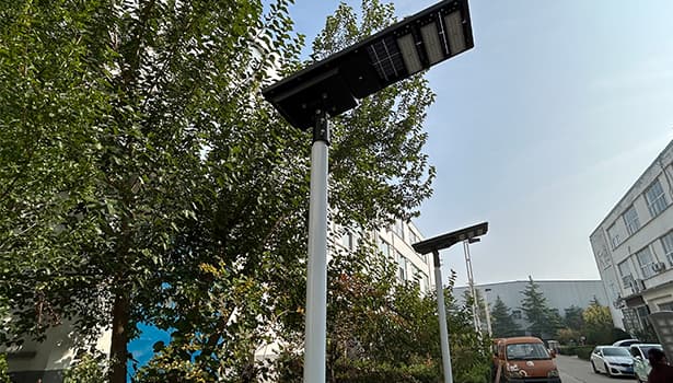 solar street lights