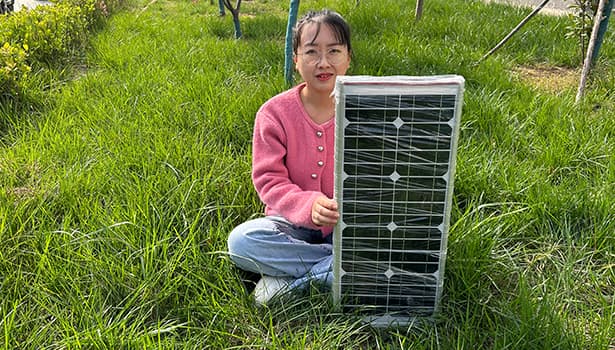 Solar street light with pole and battery